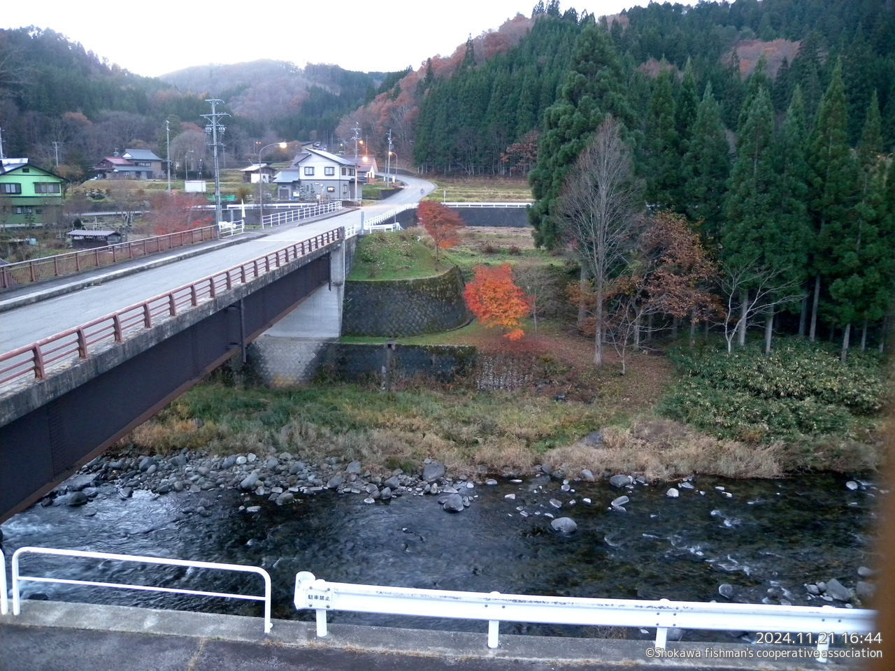 庄川の現在の様子